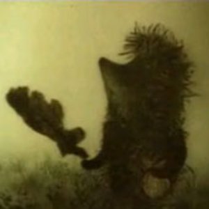 Avatar for Ezhik v tumane