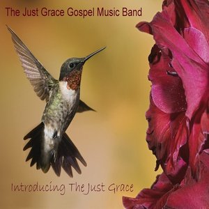 Introducing The Just Grace - EP