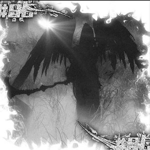 cythe 的头像