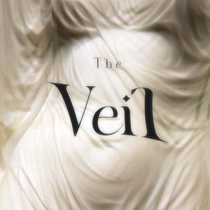 The Veil
