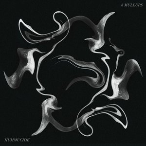 8 Mullups