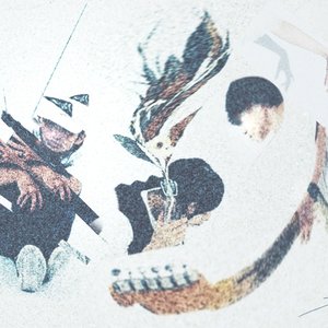 Yutai Communications 的头像