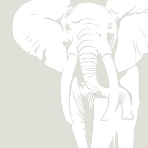 The White Elephant Album