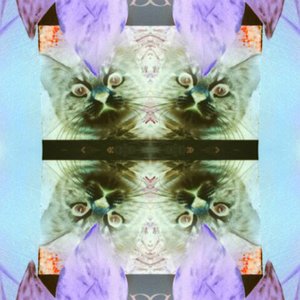 ☀ Blackoutbaby Mixxtape ☀