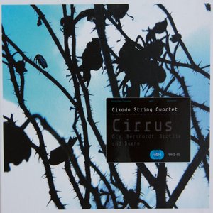 Cirrus