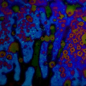 Music for Aquariums: Night Shift