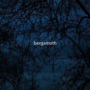Bergamoth 的头像