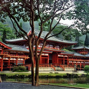 Buddhist Temples için avatar