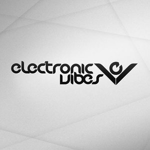 Avatar for Electronic Vibes