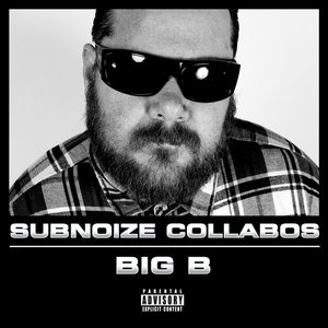 Subnoize Collabos