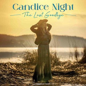 The Last Goodbye - Single