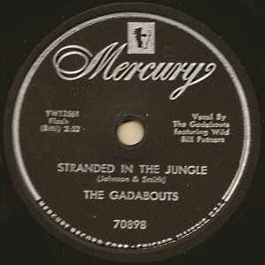 Stranded In The Jungle / Blues Train