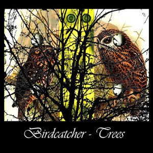 Trees