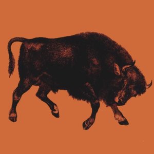 Avatar for Modern Bison