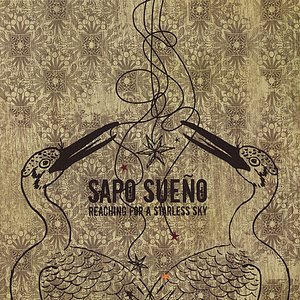 Reaching For A Starless Sky