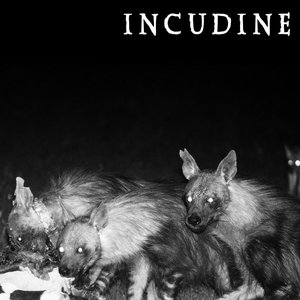 INCUDINE 的头像