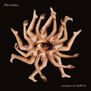 Multum In Parvo
