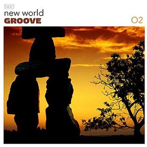 New World Groove 02