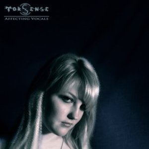 Torsense 的头像