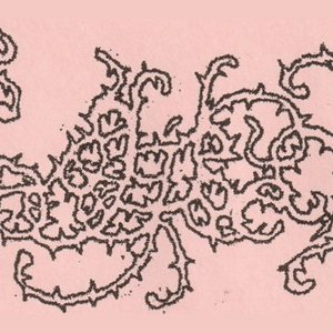 Avatar de Veins Like Vines