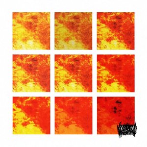 Fashion Forward - Single