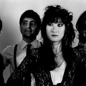 The Fibonaccis photo provided by Last.fm