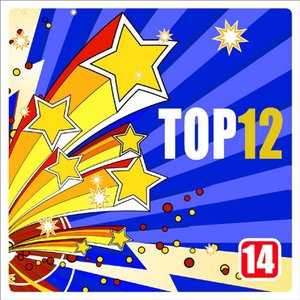 Top 12, Vol. 14