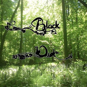 Avatar for Black Owl