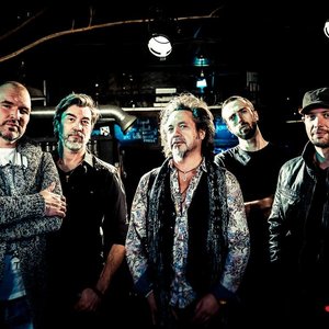 Voodoo Skin 的头像