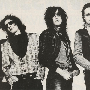 Pelle Miljoona & Linnunlaulu photo provided by Last.fm