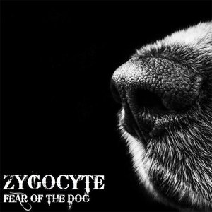 Fear of the Dog