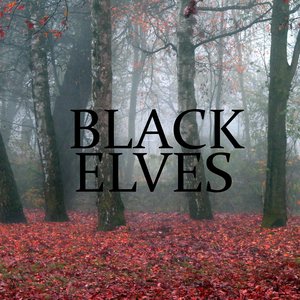 Bild für 'BLACK ELVES'