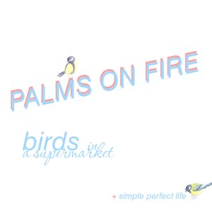 birds in a supermarket (single)