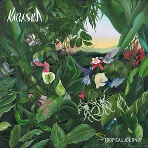 Tropical Journey