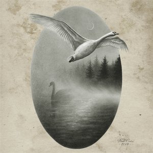 Rebirth