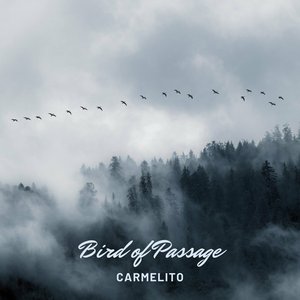 Bird of Passage