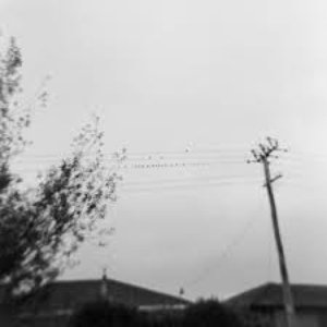 ourhomeisthesky 的头像