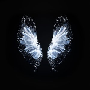 Believe