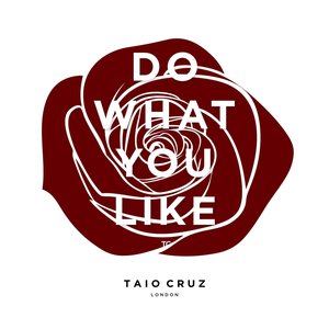 Do What You Like - Single