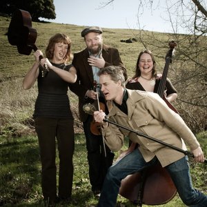 Avatar di Foghorn Stringband