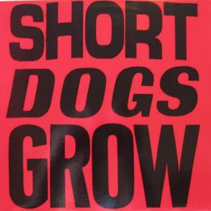 Short Dogs Grow