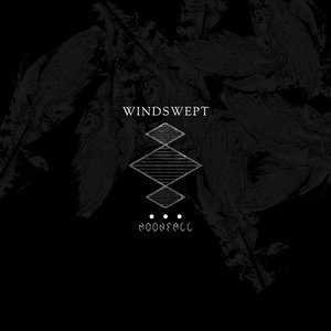 Immagine per 'Windswept'