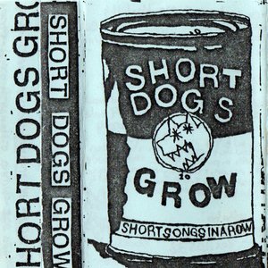 Short Songs In A Row