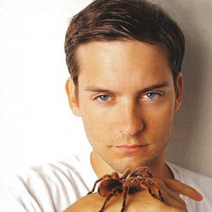 “Tobey Maguire”的封面