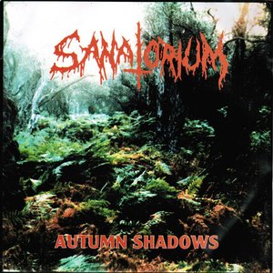 Autumn shadows