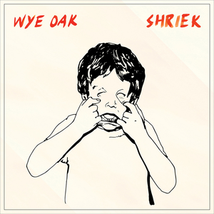 wye oak - Schools Of Eyes Lyrics - Zortam Music
