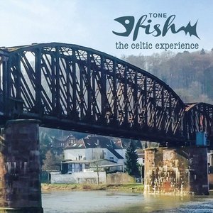 The Celtic Experience (Live)