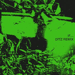 If.... (Ditz Remix)