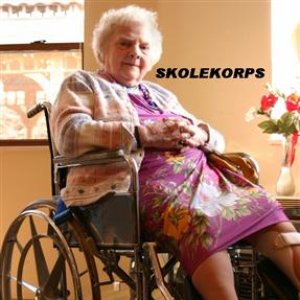 Image for 'Skolekorps'