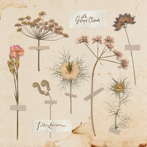 Pondecen - EP